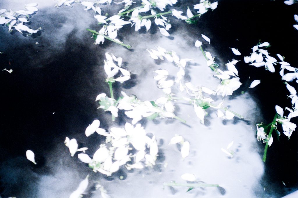 website3